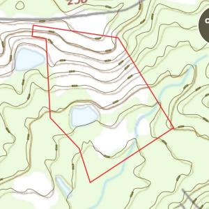 Photo #7 of 687 Brock Rd, Linden, NC 45.0 acres