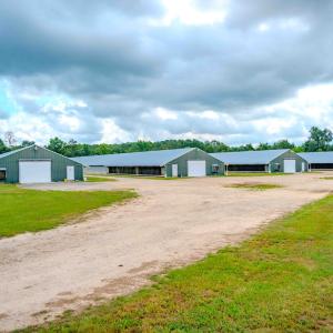 Photo #10 of 687 Brock Rd, Linden, NC 45.0 acres