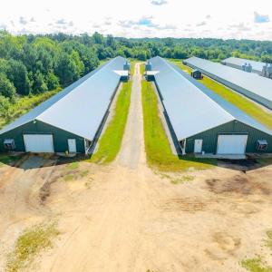 Photo #11 of 687 Brock Rd, Linden, NC 45.0 acres