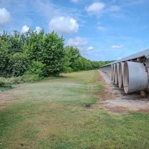Photo #34 of 687 Brock Rd, Linden, NC 45.0 acres