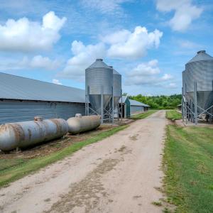Photo #36 of 687 Brock Rd, Linden, NC 45.0 acres