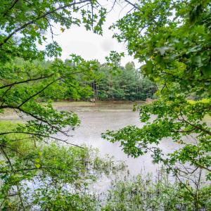Photo #45 of 687 Brock Rd, Linden, NC 45.0 acres
