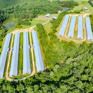 Photo #53 of 687 Brock Rd, Linden, NC 45.0 acres