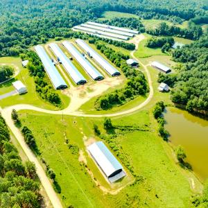 Photo #62 of 687 Brock Rd, Linden, NC 45.0 acres