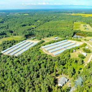 Photo #65 of 687 Brock Rd, Linden, NC 45.0 acres