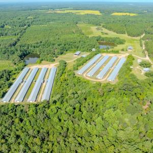 Photo #66 of 687 Brock Rd, Linden, NC 45.0 acres