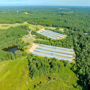 Photo #67 of 687 Brock Rd, Linden, NC 45.0 acres