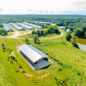 Photo #68 of 687 Brock Rd, Linden, NC 45.0 acres