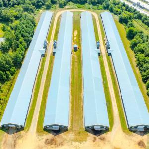 Photo #69 of 687 Brock Rd, Linden, NC 45.0 acres
