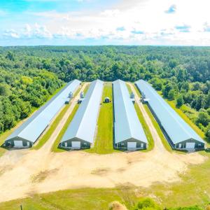 Photo #72 of 687 Brock Rd, Linden, NC 45.0 acres