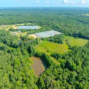 Photo #73 of 687 Brock Rd, Linden, NC 45.0 acres