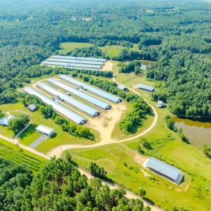Photo #74 of 687 Brock Rd, Linden, NC 45.0 acres