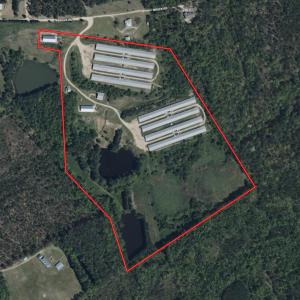 Photo #75 of 687 Brock Rd, Linden, NC 45.0 acres