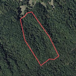 Photo #36 of Off Ravens Ridge, Lot H, Pearisburg, VA 34.3 acres
