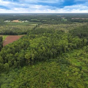 Photo #10 of Off Stocking Head Road, Rose Hill, NC 74.8 acres