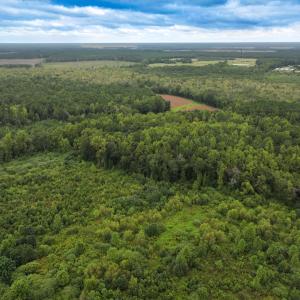 Photo #11 of Off Stocking Head Road, Rose Hill, NC 74.8 acres