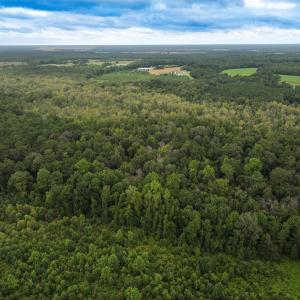 Photo #12 of Off Stocking Head Road, Rose Hill, NC 74.8 acres