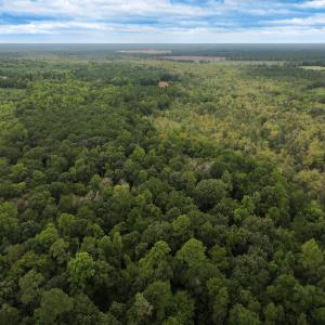 Photo #14 of Off Stocking Head Road, Rose Hill, NC 74.8 acres