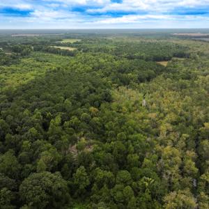 Photo #15 of Off Stocking Head Road, Rose Hill, NC 74.8 acres