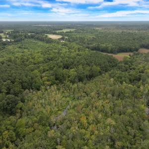 Photo #17 of Off Stocking Head Road, Rose Hill, NC 74.8 acres