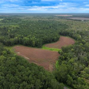Photo #18 of Off Stocking Head Road, Rose Hill, NC 74.8 acres