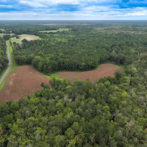 Photo #2 of Off Stocking Head Road, Rose Hill, NC 74.8 acres