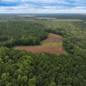 Photo #19 of Off Stocking Head Road, Rose Hill, NC 74.8 acres