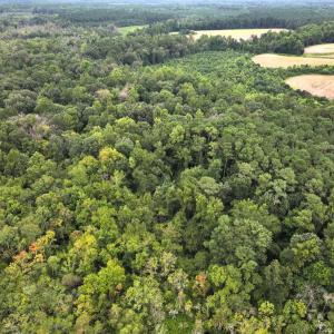 Photo #20 of Off Stocking Head Road, Rose Hill, NC 74.8 acres