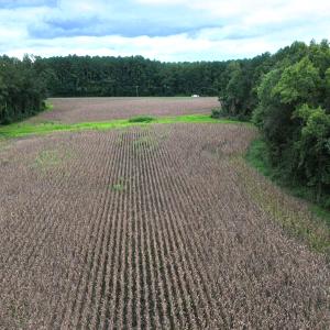 Photo #22 of Off Stocking Head Road, Rose Hill, NC 74.8 acres