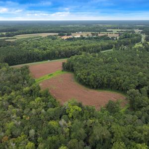 Photo #4 of Off Stocking Head Road, Rose Hill, NC 74.8 acres