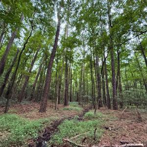 Photo #36 of Off Stocking Head Road, Rose Hill, NC 74.8 acres
