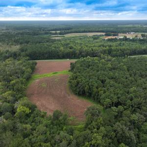 Photo #5 of Off Stocking Head Road, Rose Hill, NC 74.8 acres