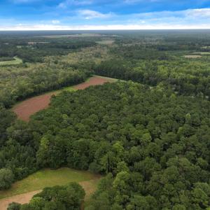 Photo #6 of Off Stocking Head Road, Rose Hill, NC 74.8 acres