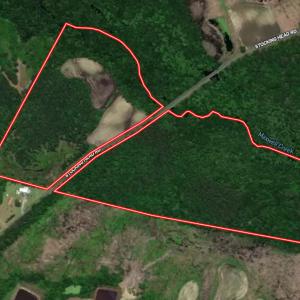 Photo #40 of Off Stocking Head Road, Rose Hill, NC 74.8 acres