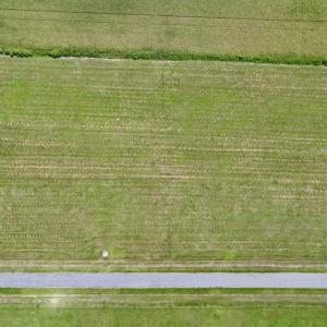 Photo #17 of Off Willet Way, Hertford, NC 4.0 acres