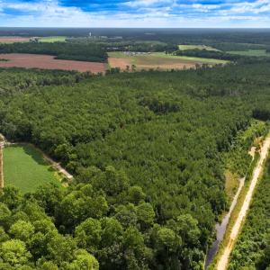 Photo #10 of Off Doc Brown Road, Rose Hill, NC 118.0 acres