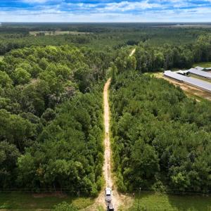 Photo #11 of Off Doc Brown Road, Rose Hill, NC 118.0 acres