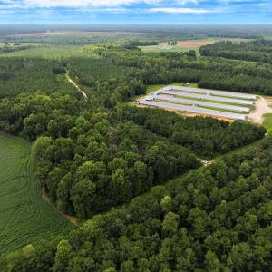 Photo #12 of Off Doc Brown Road, Rose Hill, NC 118.0 acres