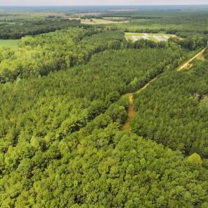 Photo #13 of Off Doc Brown Road, Rose Hill, NC 118.0 acres
