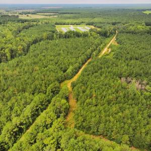 Photo #14 of Off Doc Brown Road, Rose Hill, NC 118.0 acres