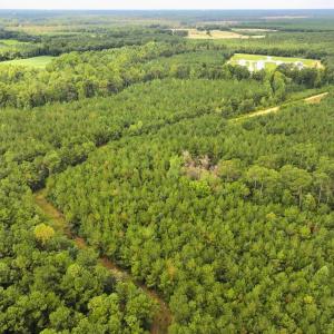 Photo #15 of Off Doc Brown Road, Rose Hill, NC 118.0 acres