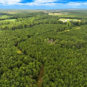 Photo #16 of Off Doc Brown Road, Rose Hill, NC 118.0 acres