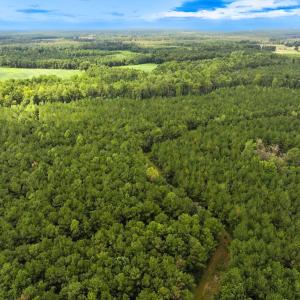 Photo #17 of Off Doc Brown Road, Rose Hill, NC 118.0 acres
