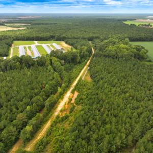 Photo #18 of Off Doc Brown Road, Rose Hill, NC 118.0 acres