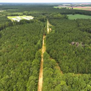 Photo #19 of Off Doc Brown Road, Rose Hill, NC 118.0 acres