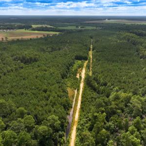 Photo #2 of Off Doc Brown Road, Rose Hill, NC 118.0 acres