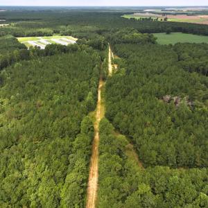 Photo #20 of Off Doc Brown Road, Rose Hill, NC 118.0 acres