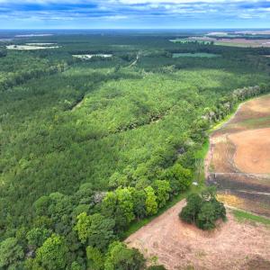 Photo #21 of Off Doc Brown Road, Rose Hill, NC 118.0 acres