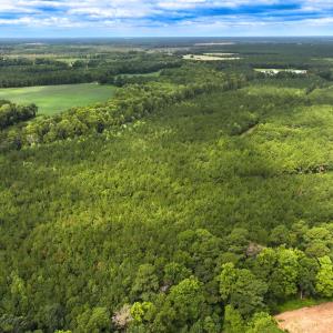 Photo #22 of Off Doc Brown Road, Rose Hill, NC 118.0 acres