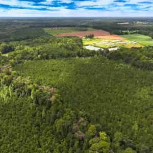 Photo #23 of Off Doc Brown Road, Rose Hill, NC 118.0 acres